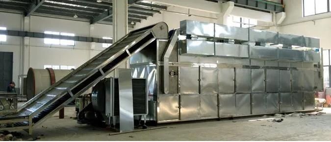 Dehydrated Vegetable Fruits Processing Line