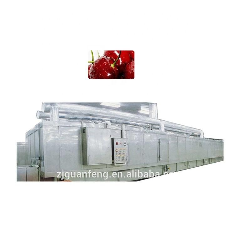 China 250kgh IQF Tunnel Freezer Food Quick Freezing Machine