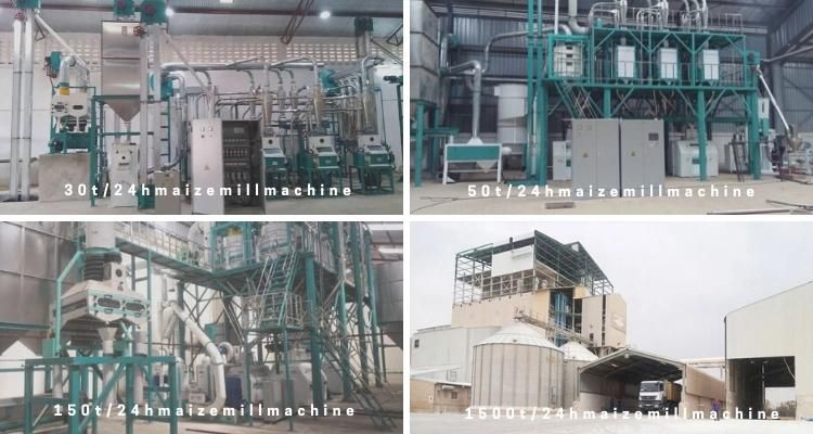 Nigeria Running 100t/24h Maize Flour Milling Machine