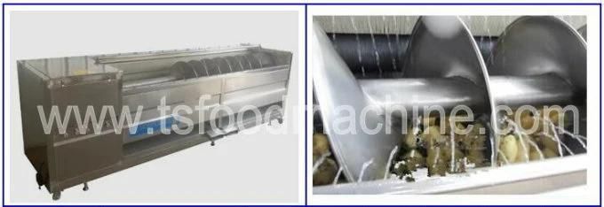 Carrot Processing Equipment Carrot Washing Cutting Machine