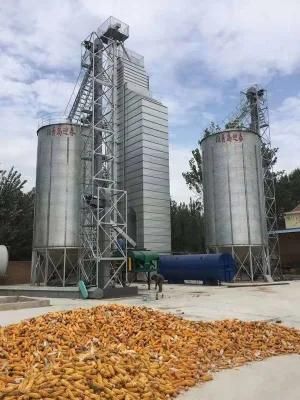 300 Ton Per Day Continuous Flow Maize Corn Dryer with European Technology