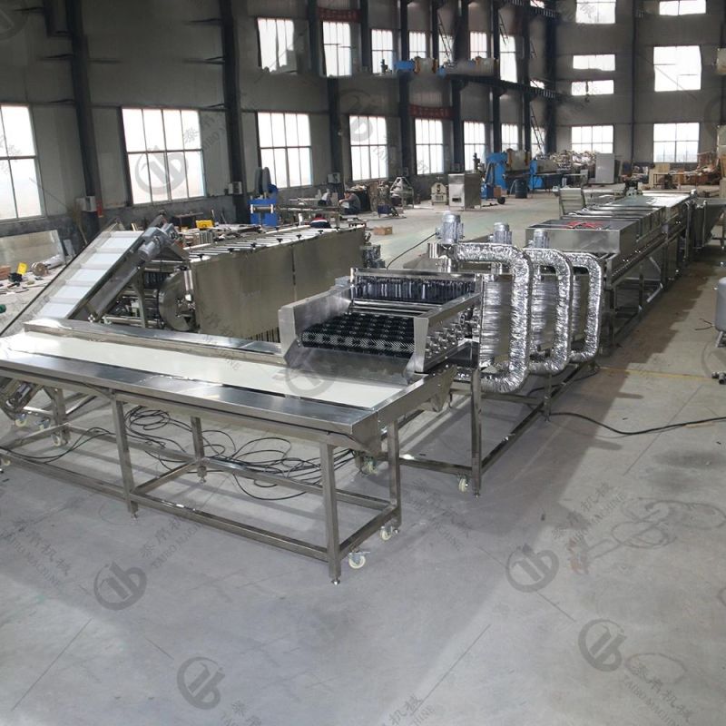 Automatic Fruit Washing Waxing Drying Size Grading Line for Fruit Processing