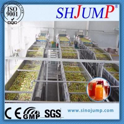 2017 Hot-Selling Stone Fruits (peach, plum, apricot) Processing Machinery