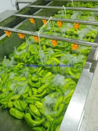 Energy Saving Automatic Garlic Onion Pepper Blueberry Strawberry Washing Equipment
