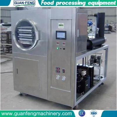 Laboratory 0.5m2 Mini Freeze Drying Dryer for Lab