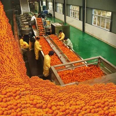 1000 Tons Diversity Fruit Production Lines Machines for Apricot Paste, Citrus Grape NFC ...