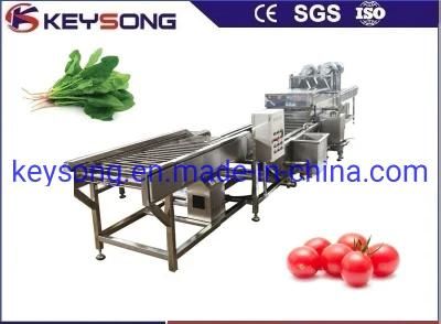 High Pressure Food Machinery Fruit Vegetable Washing Equipment