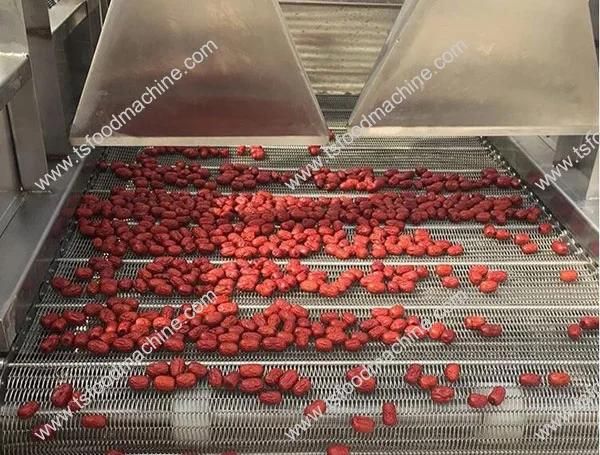 Wash and Dry Vegetables Fruits Machine Date Washing Machine
