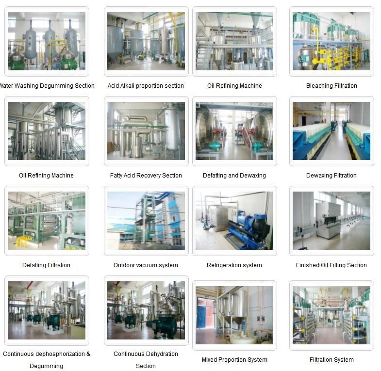 80-200t/D Sunflower/Cottonseed Oil Extract Machine, Oil Refining Production Line.