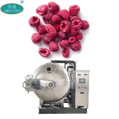 Fruits Vacuum Freeze Dryer Raspberry Dehydrator Machine Vacuum Freeze Dryer