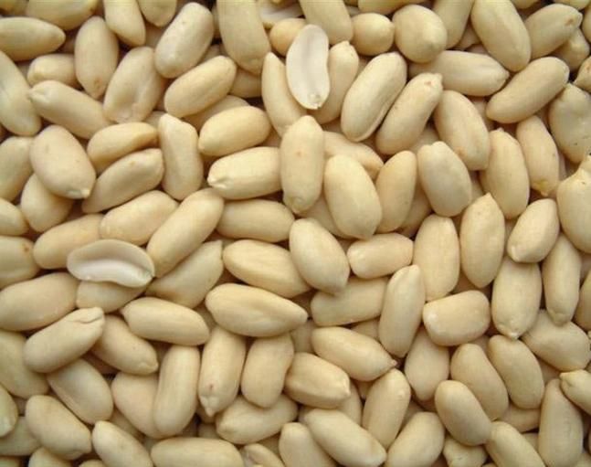 Cooking Blanching Sterilization Machine Peanut Water Blanching Machine