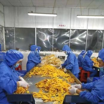 Dehydrated Mango Slice Production Line Bio Mango Slice Drying Machine Clear Energy Heating ...