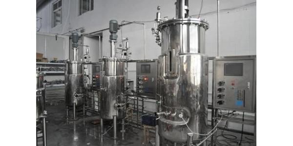 Home Brew 250 Gallon Beer Conical Fermenting Fermenter Pot