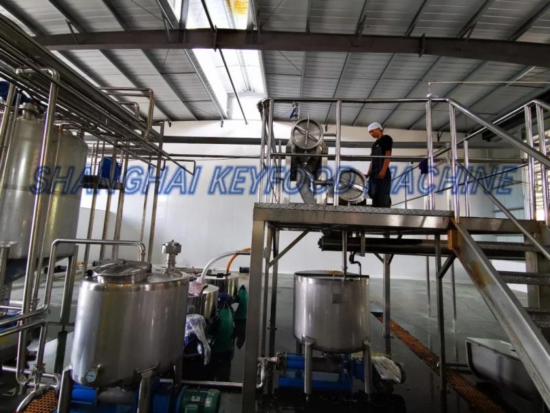 Complete Concentrated Juice Production Line with Filling Machine