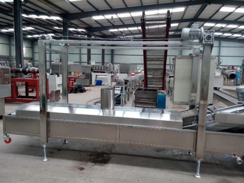 SS304 and Automatic Frying Machine Frying Snacks Making Machine for Sale with Facory Price CE Approved