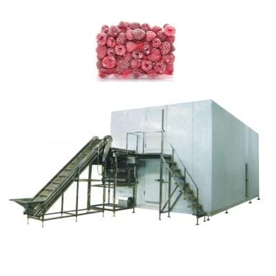Customized IQF Freezer Stainless Steel Freezing Machine for Vegetables
