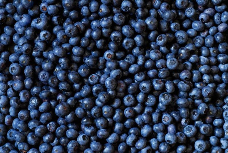 Automatic Fruits Cleaning Washer Blueberry Air Bubble Washing Machine