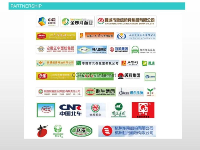 Global 500 Cofcoet Wheat Maize Rice Flour Complete Production Line