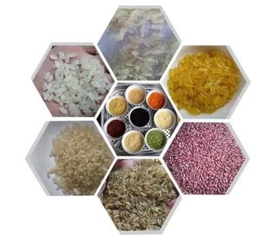 Nutritious Rice Artifical Rice Manmade Rice Instant Rice Production Line Project