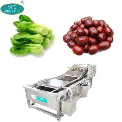 Production Line Vegetables Bubble Leafy Vegetable Fruit Washing Machine