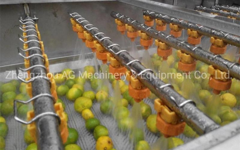 Automatic Potato Washing and Cleaning Machine with with Brush Roller