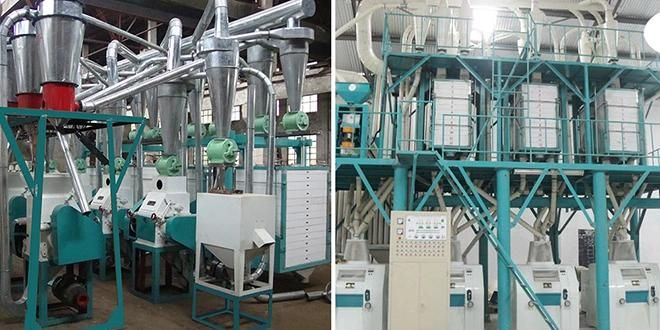 Durum Flour Milling Line Hard Wheat Flour Milling Line (40t)