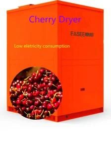 Industrial Energy-Saving Fruit Drying Machine for Dried Food Cherry Dryer