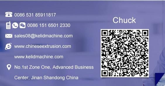 Soya Mince Protein Extruder Making Machines