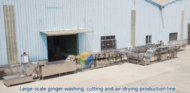 High Efficiency Electric Meat Processing Equipment Commercial Small Scale Meat Dicing Cutting Machine (QX-30)