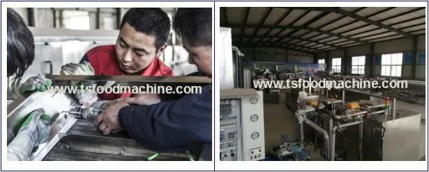 Banana Chips Processing Machine, Commercial Used Plantain Chips Making Machine, Banana Chips Machine