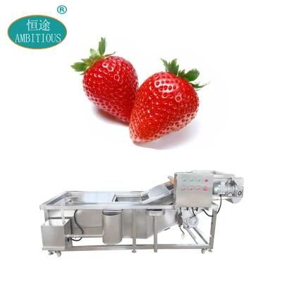 Water Jet Okra Bubble Washing Machinery Strawberry Bubble Washing Machine