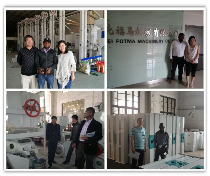 80t/D Modern Rice Processing Machine