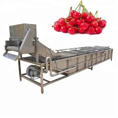 Multifunctional Hot Selling Vegetables Fruit Bubble Washing and Cleaning Machine