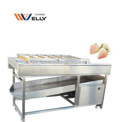 High Pressure Spray Brush Roller Carrot Ginger Tomato Jujube Cleaning Machine for Export