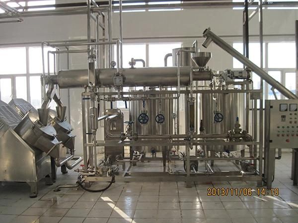 Sacha Inchi/ Tiger Nut/ Soybean/ Pea/ Vegan Vegetable Protein Powder Production Machine