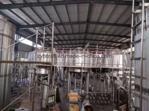Small Model 500L Brew System Brewery Equipment Beer Fermenting Turnkey Plant for Bar
