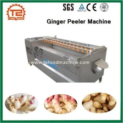 Carrot Washing Machine Potato Cleaning Machine Ginger Washing and Ginger Peeler Machine