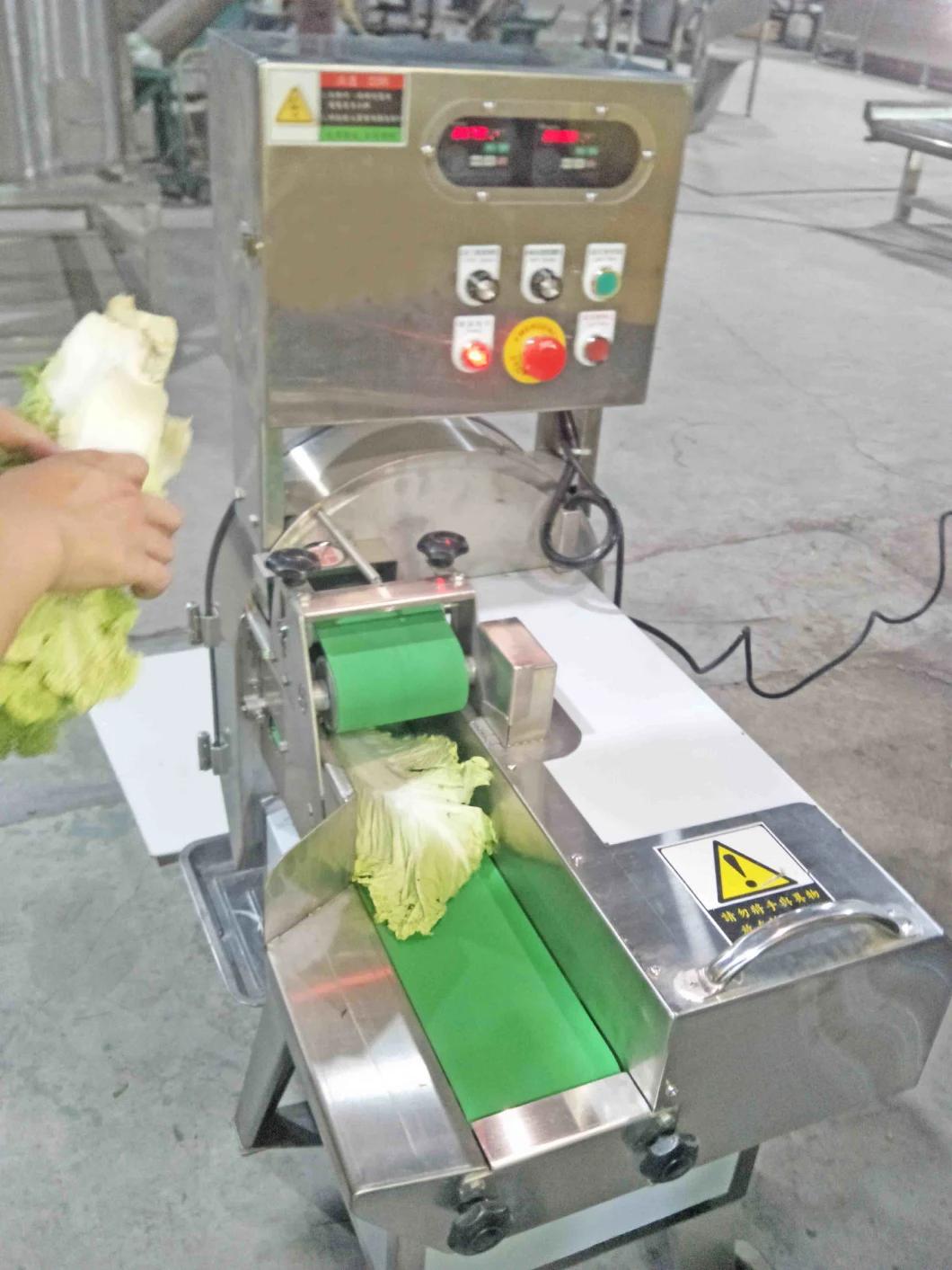 Multi-Functional Vegetable and Fruit Cutter Vegatable Slicing Machine