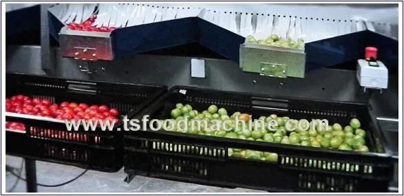 Food Company Use Vegetable Air Bubble Washing Machine and Fruit Washer