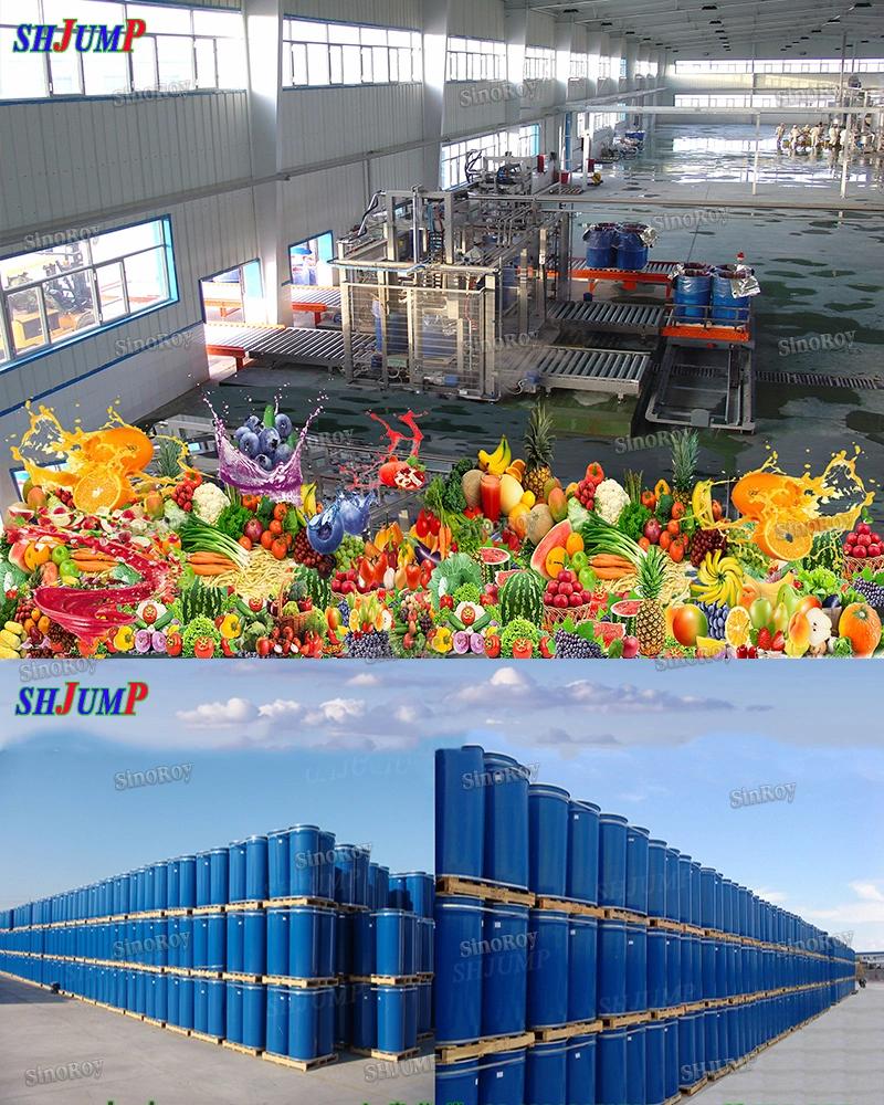 100 Tons Pet Food Fruit Vegetable Sauce Puree Paste Jam Processing Line and Machines