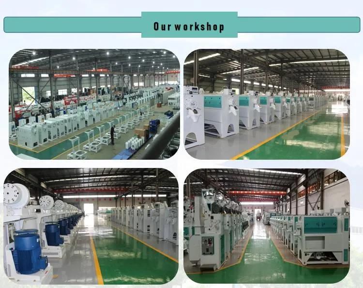 Clj High Efficiency Rice Milling and Grading Machine Mmjx Multiple Layer Rotary Rice Grader Machine