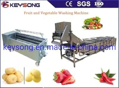 Commercial Food Processing Plant Equipment Fruit Vegetable Washer