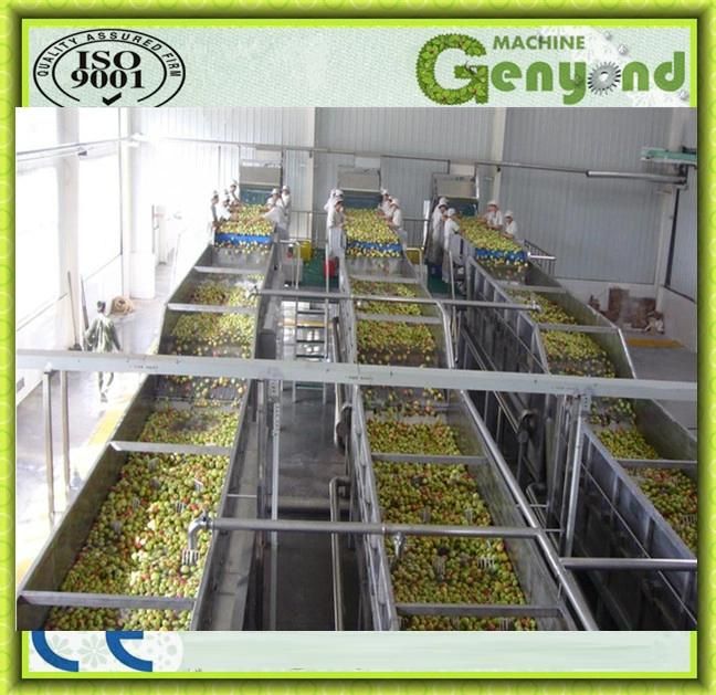 Vegetable Washing Machine (ss 304 material)