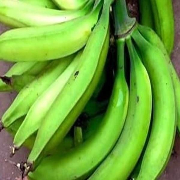 Hot Water Blancher Pre-Cooking Plantain Blanching Machine