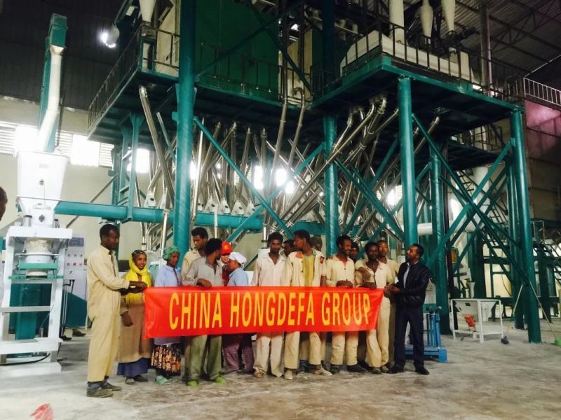 Algeria Running 50t-80t Wheat Flour Milling Machine