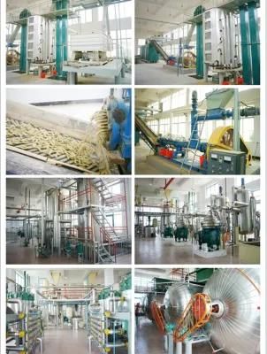 Most Advanced Rice Oil Solvent Extraction Refining and Defatting Line