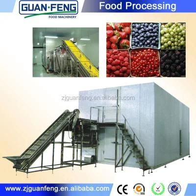 0.5t High Performance IQF Freezer for Food Quick Freezing Production