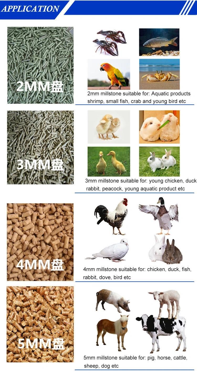 Pellet Feed Machine for Poultry Farms Feed Pelletizer Equipment