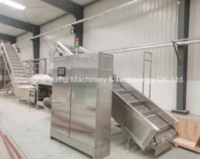 China Top Manufacturer Fruit Juice Processing Line Middle-Size Factory Machines From ...