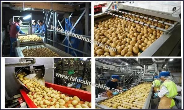 Potato Chips Production Line, Potato Chips Making Price, Frozen French Fries Food Processing Machine